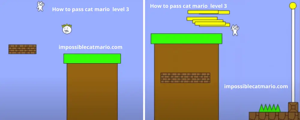 How to pass cat mario level 3